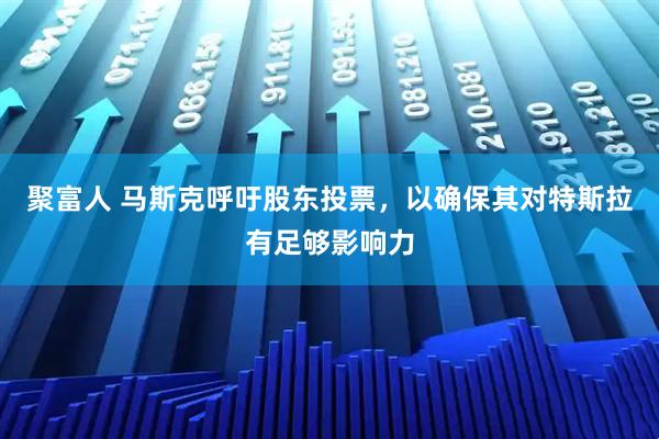 聚富人 马斯克呼吁股东投票，以确保其对特斯拉有足够影响力