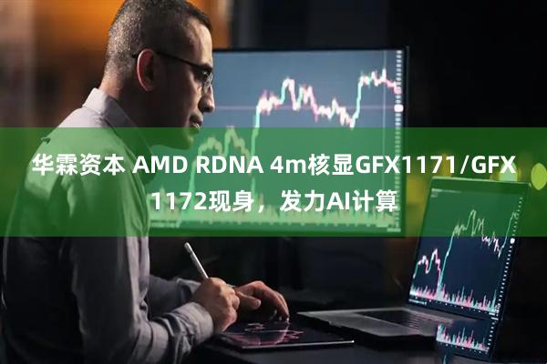 华霖资本 AMD RDNA 4m核显GFX1171/GFX1172现身，发力AI计算