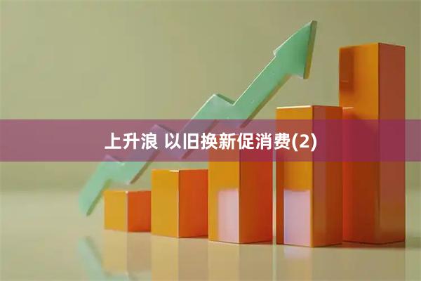 上升浪 以旧换新促消费(2)