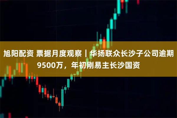 旭阳配资 票据月度观察｜华扬联众长沙子公司逾期9500万，年初刚易主长沙国资